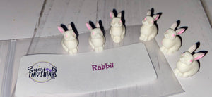 Mini Rabbits